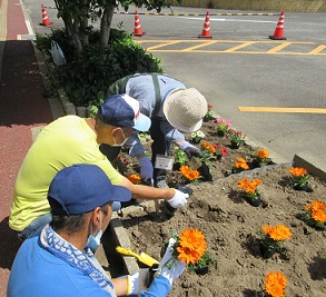 ガザニア坂下・幸田.jpg