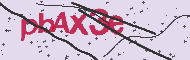 Captcha認証コード