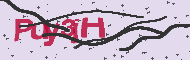 Captcha認証コード