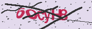Captcha認証コード